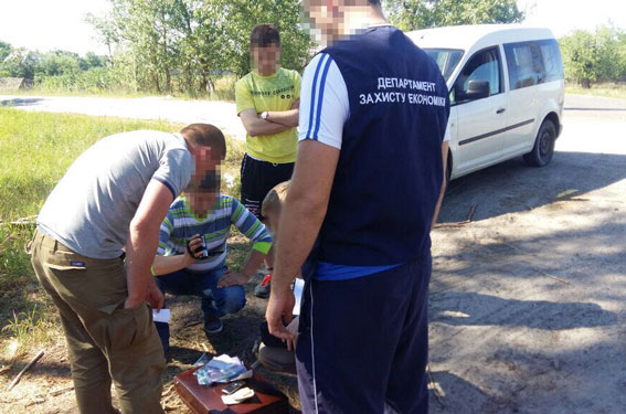 В Черниговской обл. на взятке в 118 тыс. грн задержали лесничего