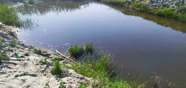 В Черниговской области в пруду утонули двое малолетних братьев