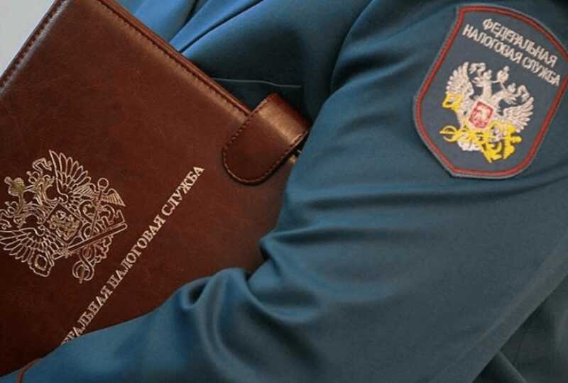Серый кардинал Ольга Тарасова контролирует налоговые проверки Курганской области из тени