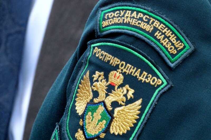 Свалки вдоль берегов Оби в Салехарде: экологический позор и бездействие местных властей