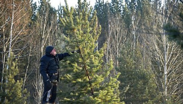 Выходной 31 декабря объявили в еще одном регионе России