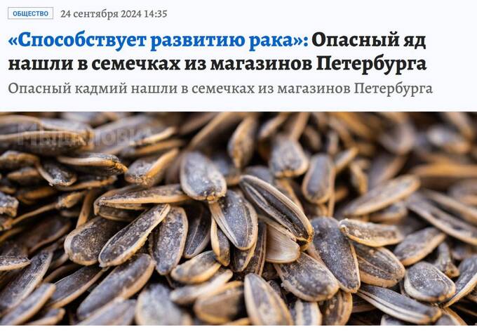 В Петербурге активисты раскрыли опасность семечек для здоровья qreizixxiqrtkmp