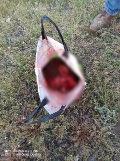 Отрезанная голова в пакете