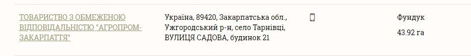 Декларирование – для л*хов? Как пылкий 