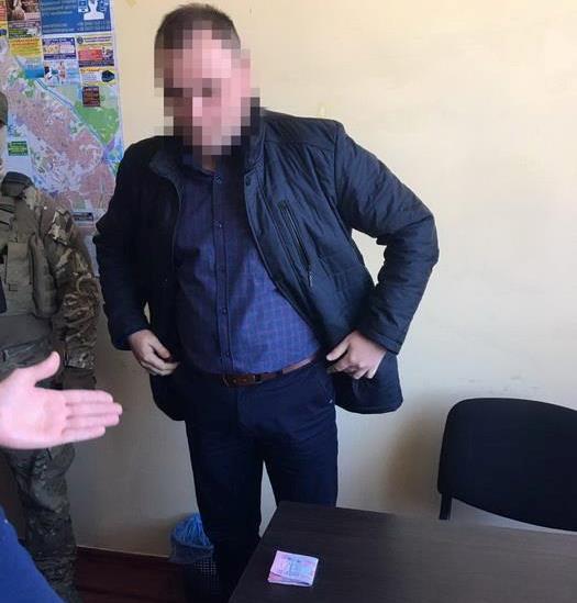 qqeiqktiruidzeglv